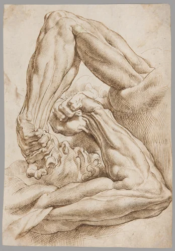 A Sheet of Anatomical Studies by Peter Paul Rubens, drawing, 1600-1610