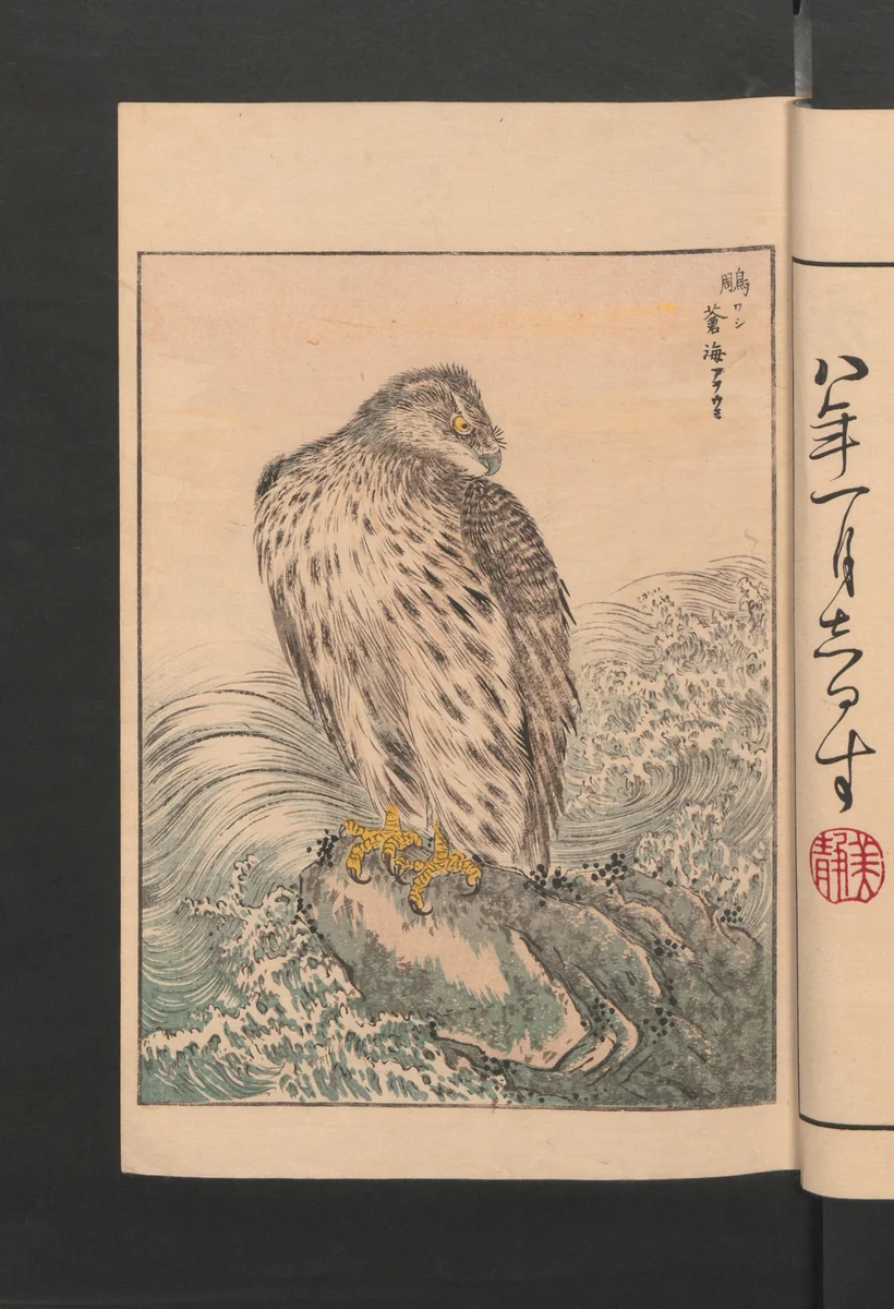 Picture Album of Various Birds (Shūchō gafu) 聚鳥畫譜 by Numata Kashū (沼田荷舟), book, 1885