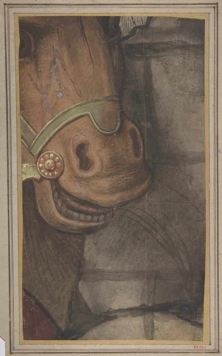 Horse's head by Raphael, drawing, 1495-1555