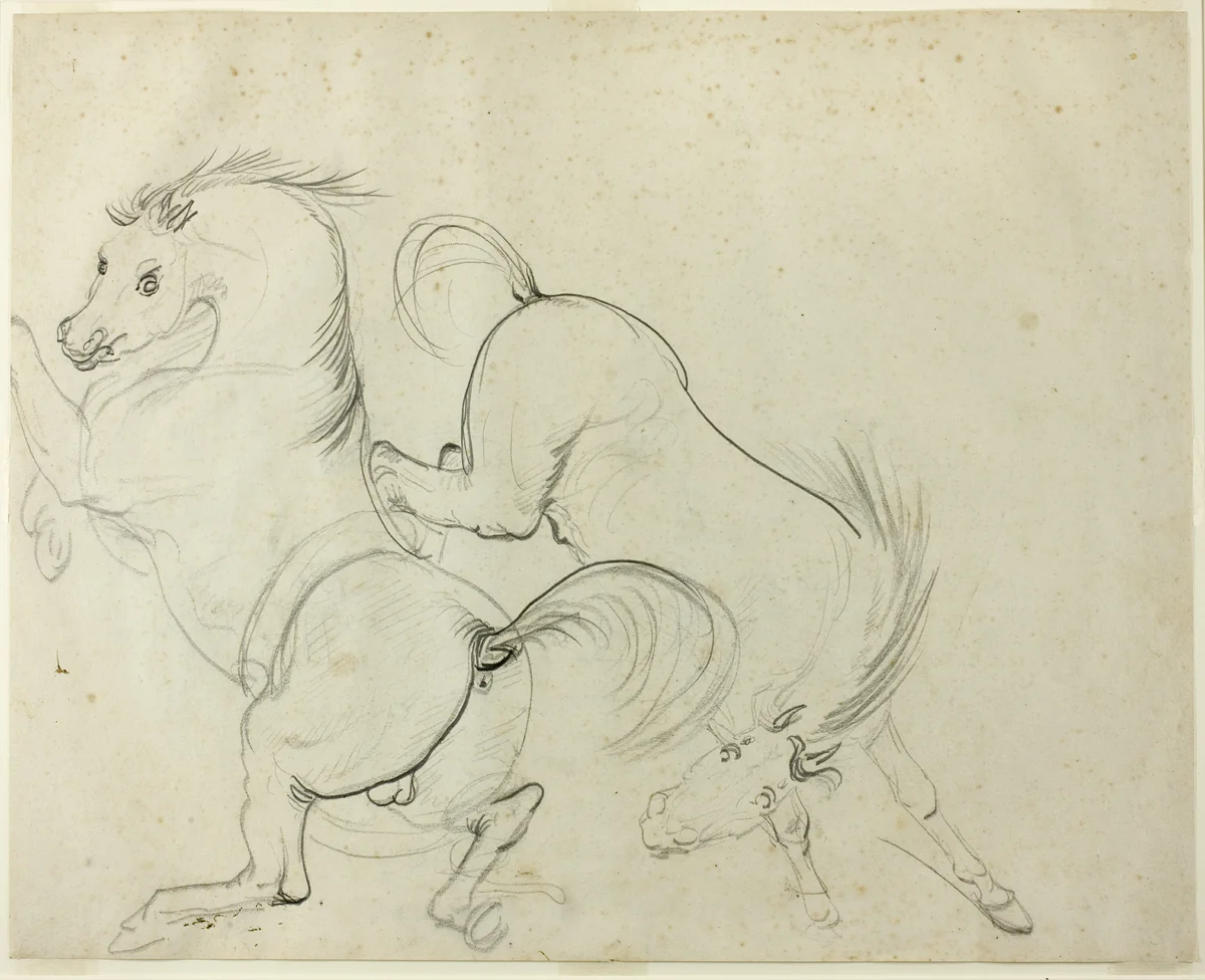 Two Horses Cavorting (recto); Man on a Kicking Horse (verso) by Carle Vernet, drawing, 1778-1836