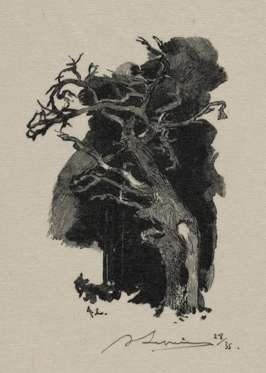 Le Rageur by Auguste Louis Lepère, print, 1887