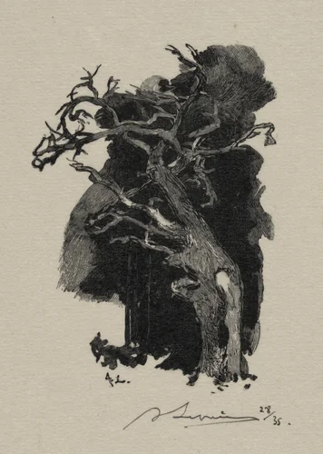 Le Rageur by Auguste Louis Lepère, print, 1887