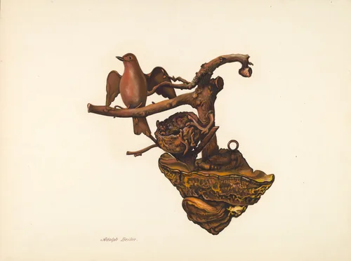 Carved Bird and Nest by Adolph Beilin, index of american design, 1941