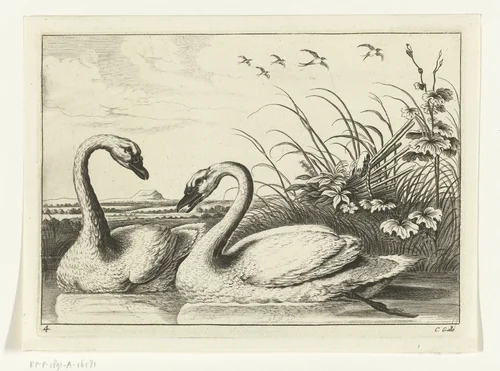 Twee zwanen by Peter van Liesebetten, print, 1654-1678
