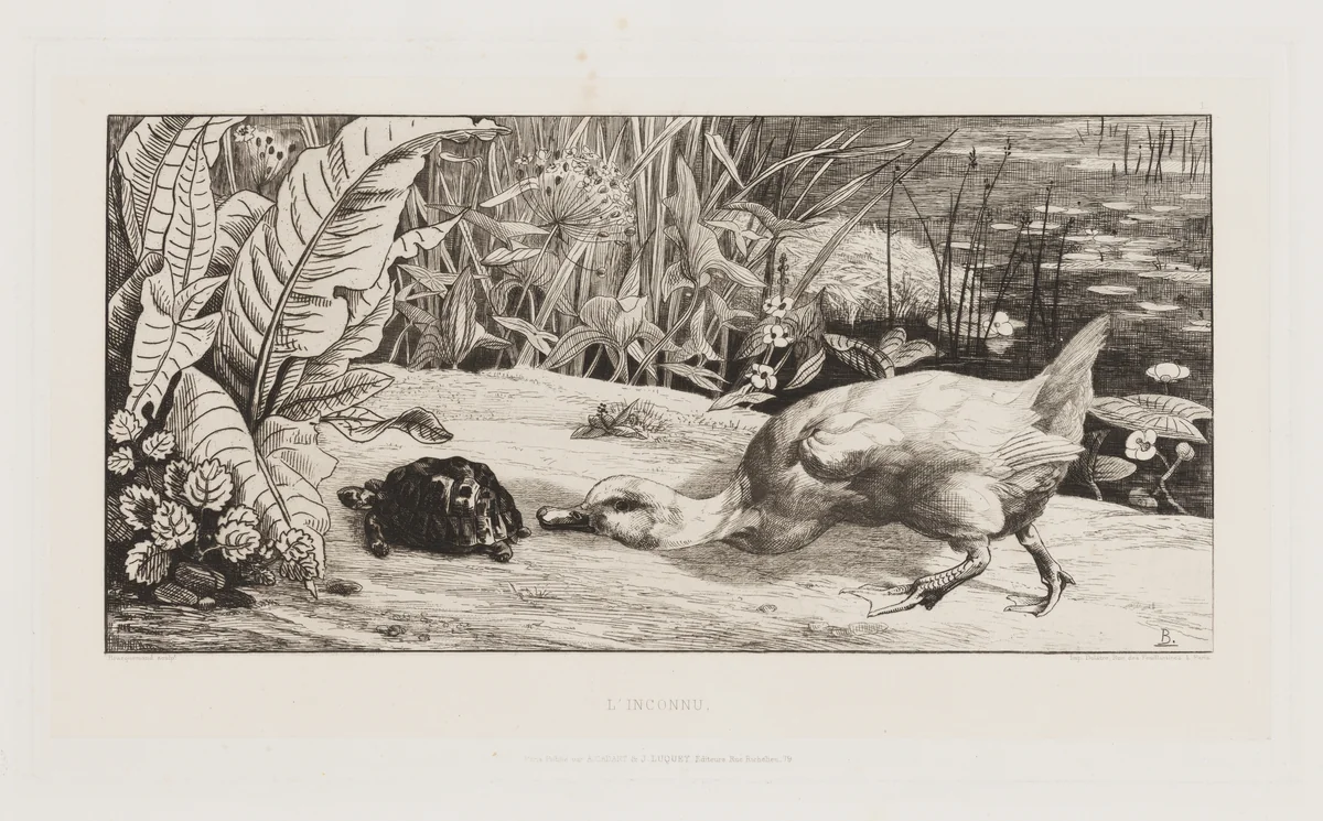 L'Inconnu by Félix Bracquemond, print, 1855-1867