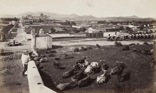 City of Guatemala from Calvario by Eadweard Muybridge, photograph, 1875