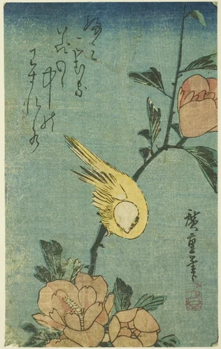 Yellow bird and hibiscus by Utagawa Hiroshige (歌川広重), print, 1830-1840