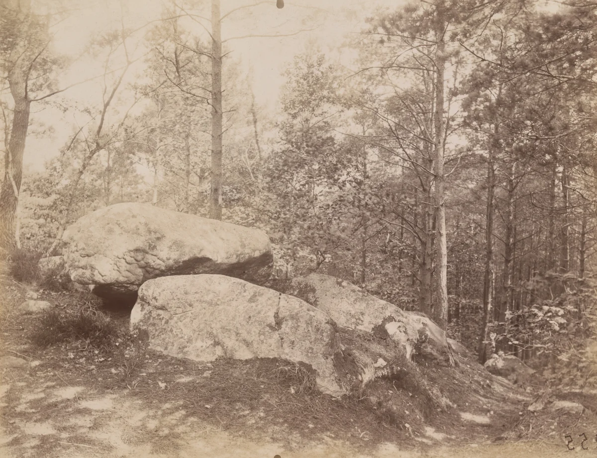 Fontainebleau by Eugène Atget, photograph, 1925