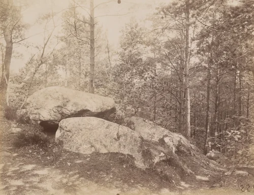 Fontainebleau by Eugène Atget, photograph, 1925