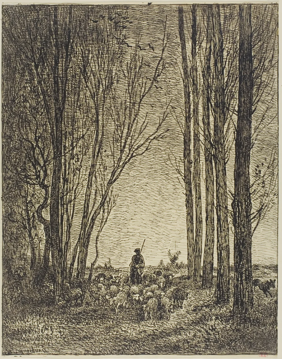 Return of the Flock by Charles-François Daubigny, print, 1862