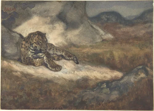Leopard Lying Down by Antoine-Louis Barye, drawing, 1810-1875