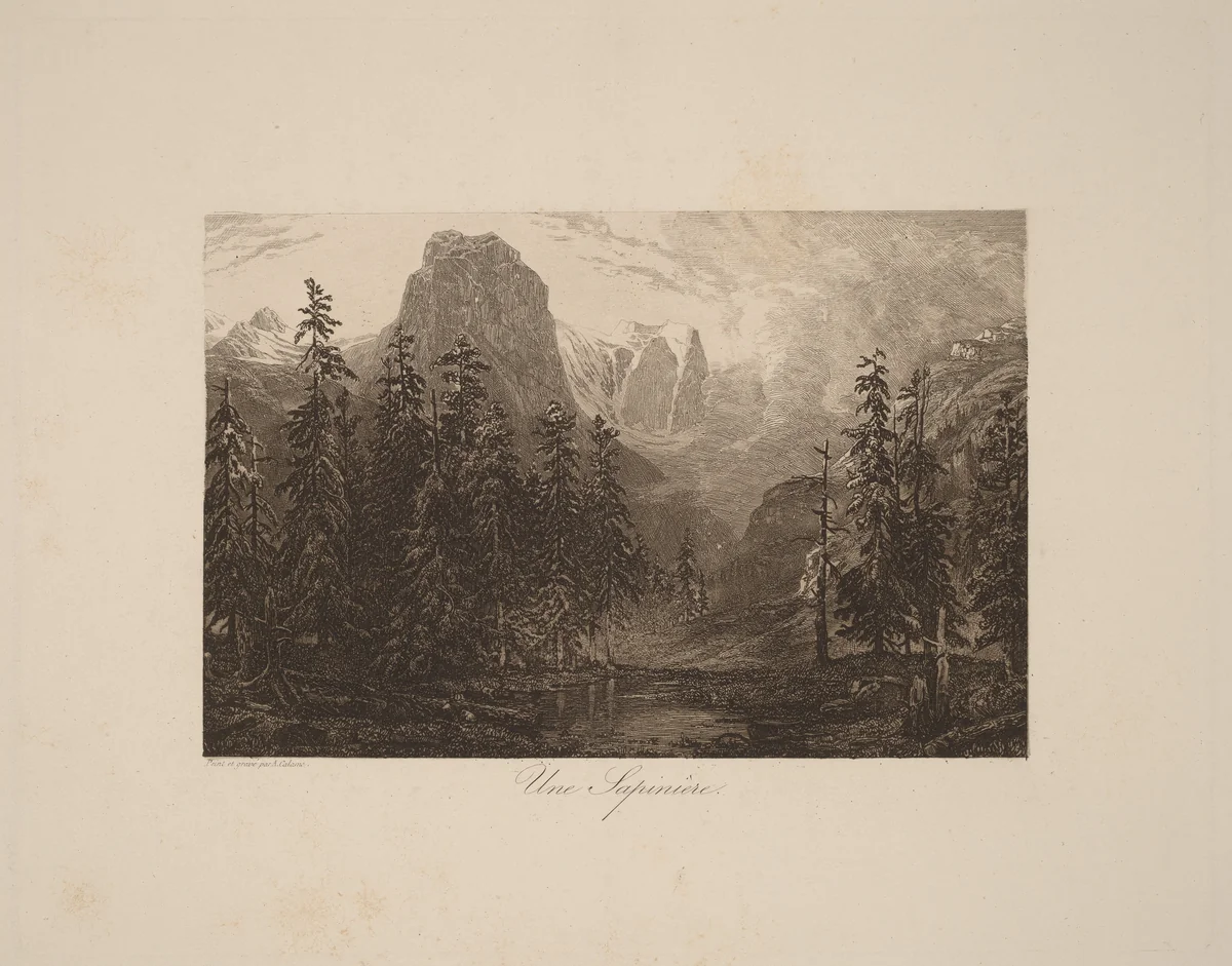 Une Sapinière by Alexandre Calame, portfolio, 1845