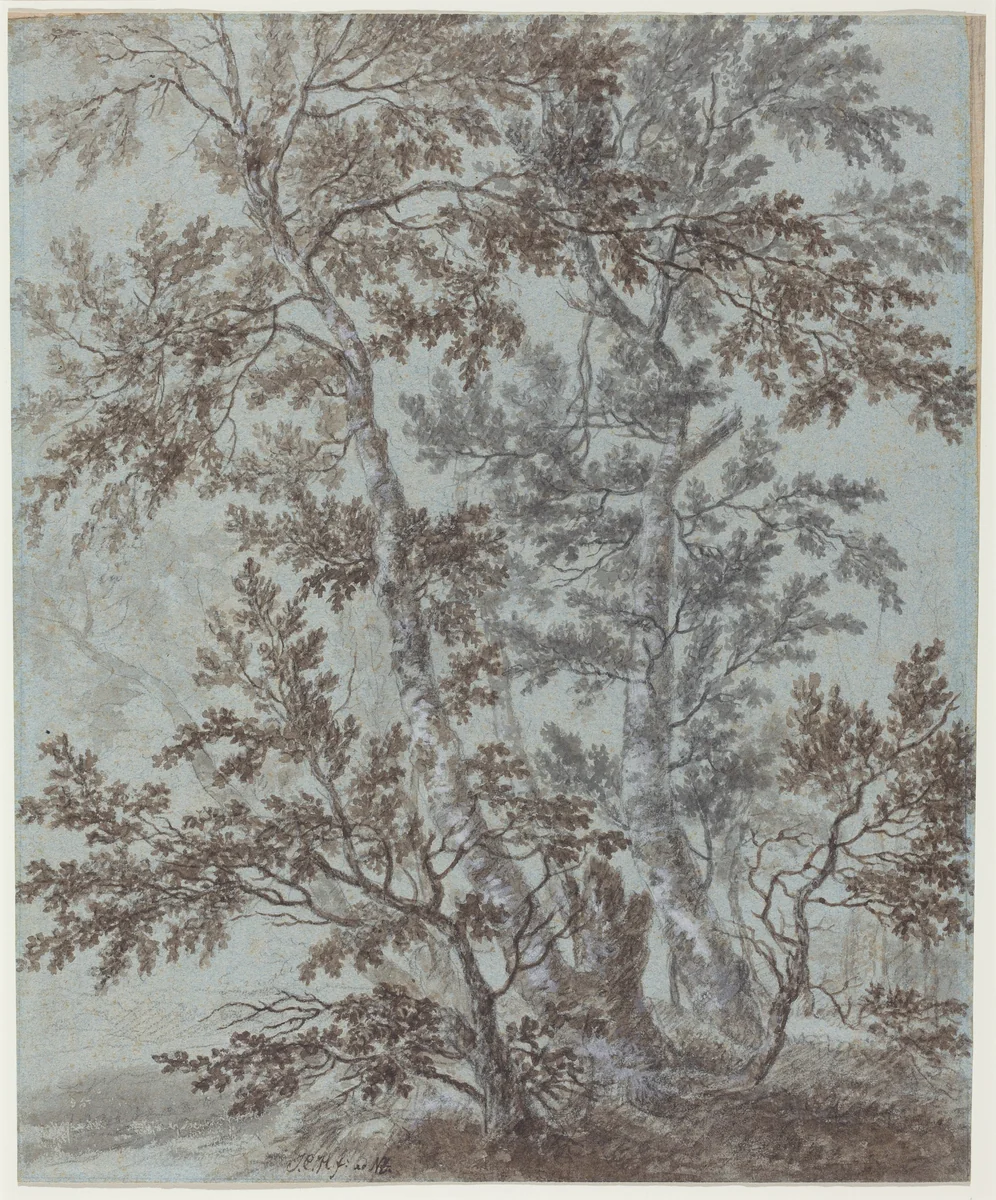 A Stand of Birch Trees by Johann Caspar Huber, drawing, 1752-1827