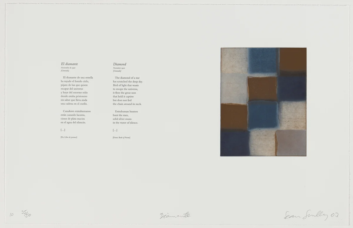 El diamante [Diamond] by Sean Scully, portfolio, 2003