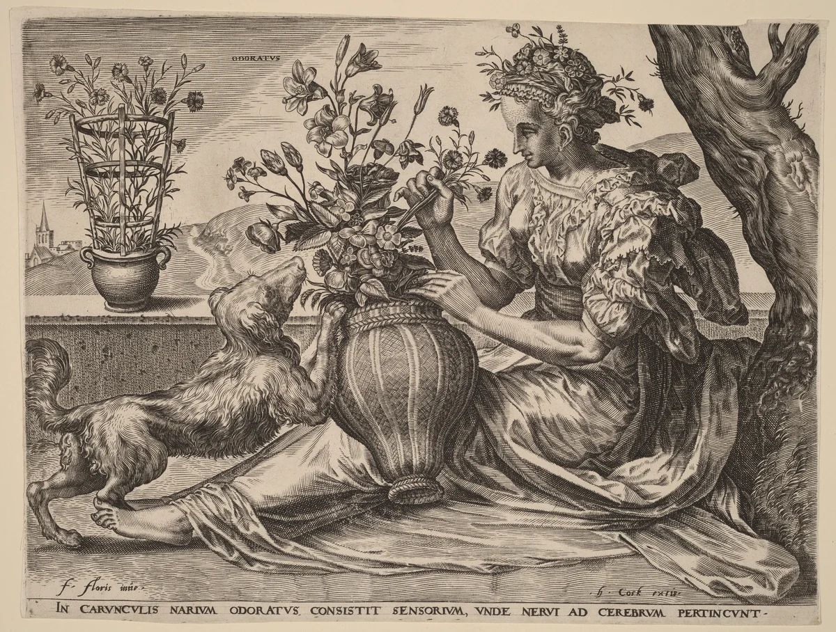 Odoratus (Smell) by Cornelis Cort, print, 1561