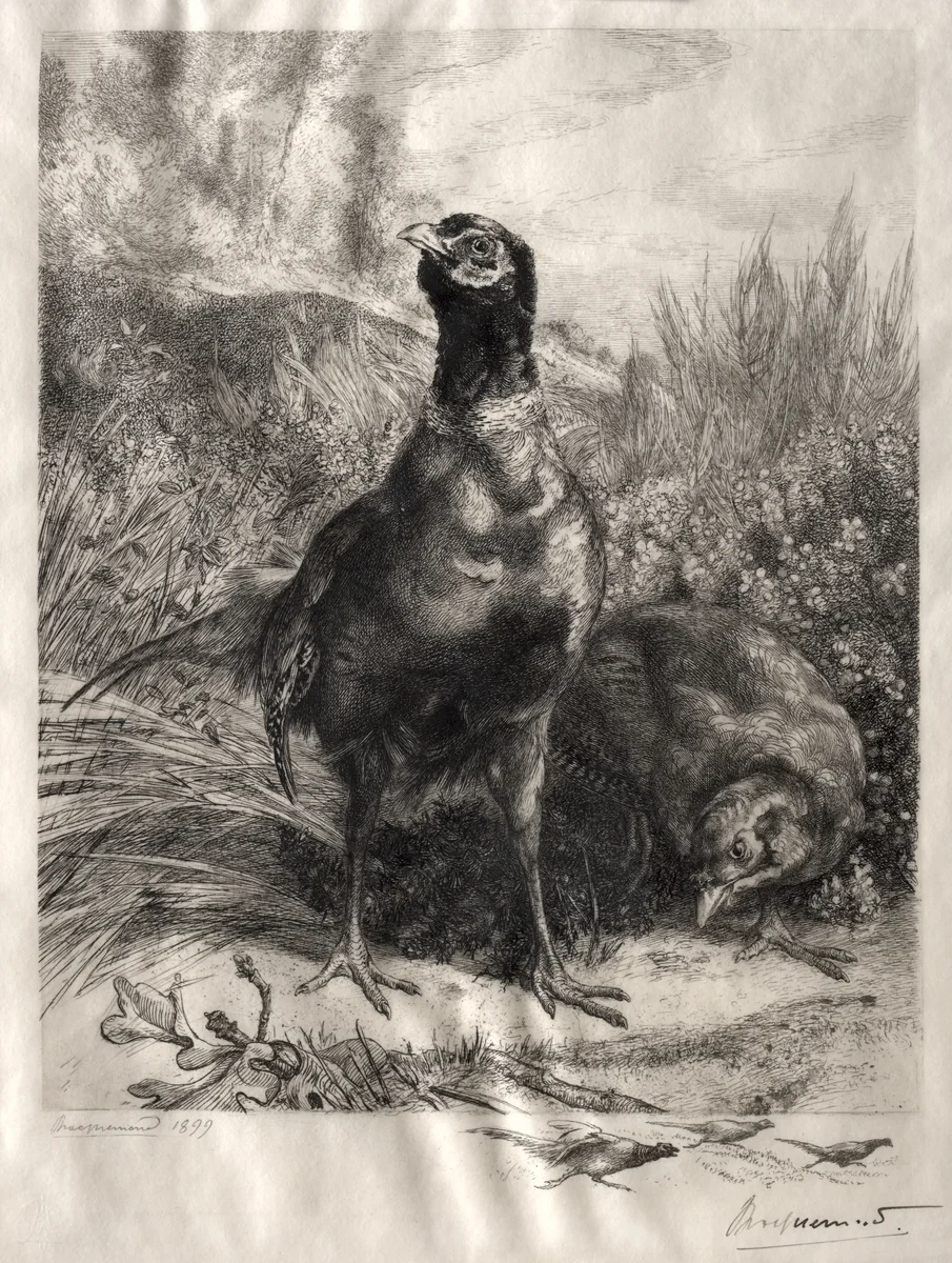 The Pheasants by Félix Bracquemond, print, 1899