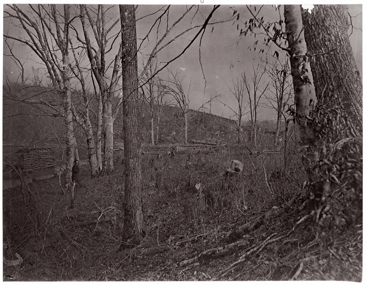 Bull Run, Virginia by George N. Barnard, photograph, 1861-1862