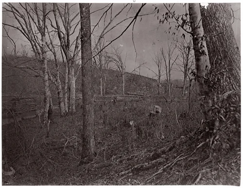 Bull Run, Virginia by George N. Barnard, photograph, 1861-1862
