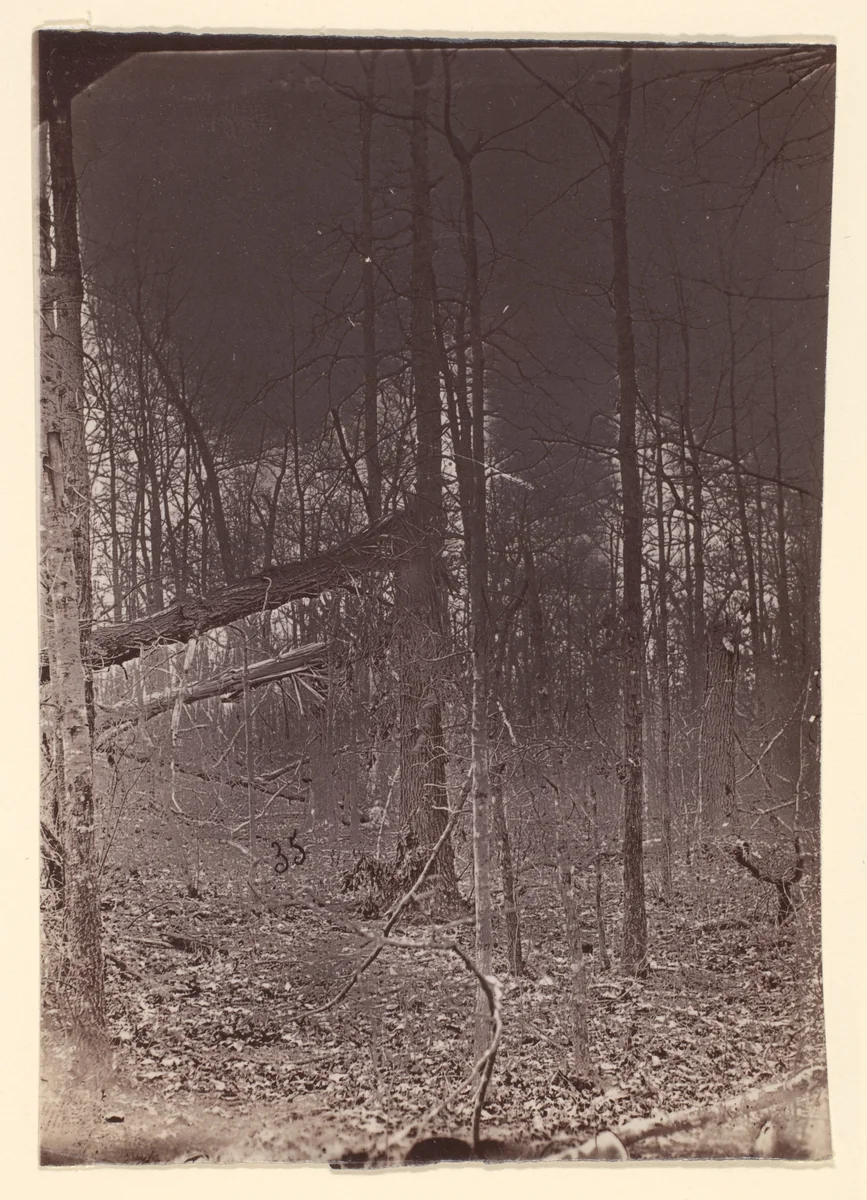 [The Wilderness Battlefield] by G. O. Brown, photograph, 1866