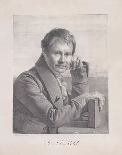Portrait of Dr. J.E. Pohl by Franz Kadlik, print