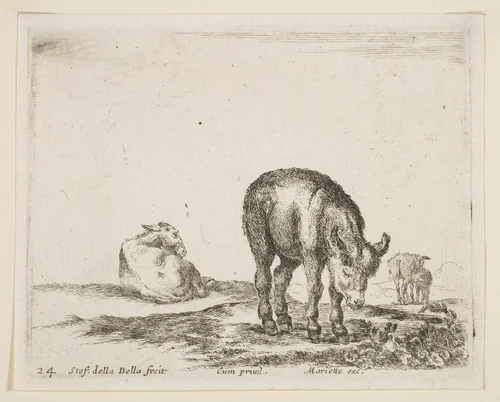 Donkeys, plate 24 from "Various Animals" (Diversi Animali) by Stefano della Bella, print, 1636-1646