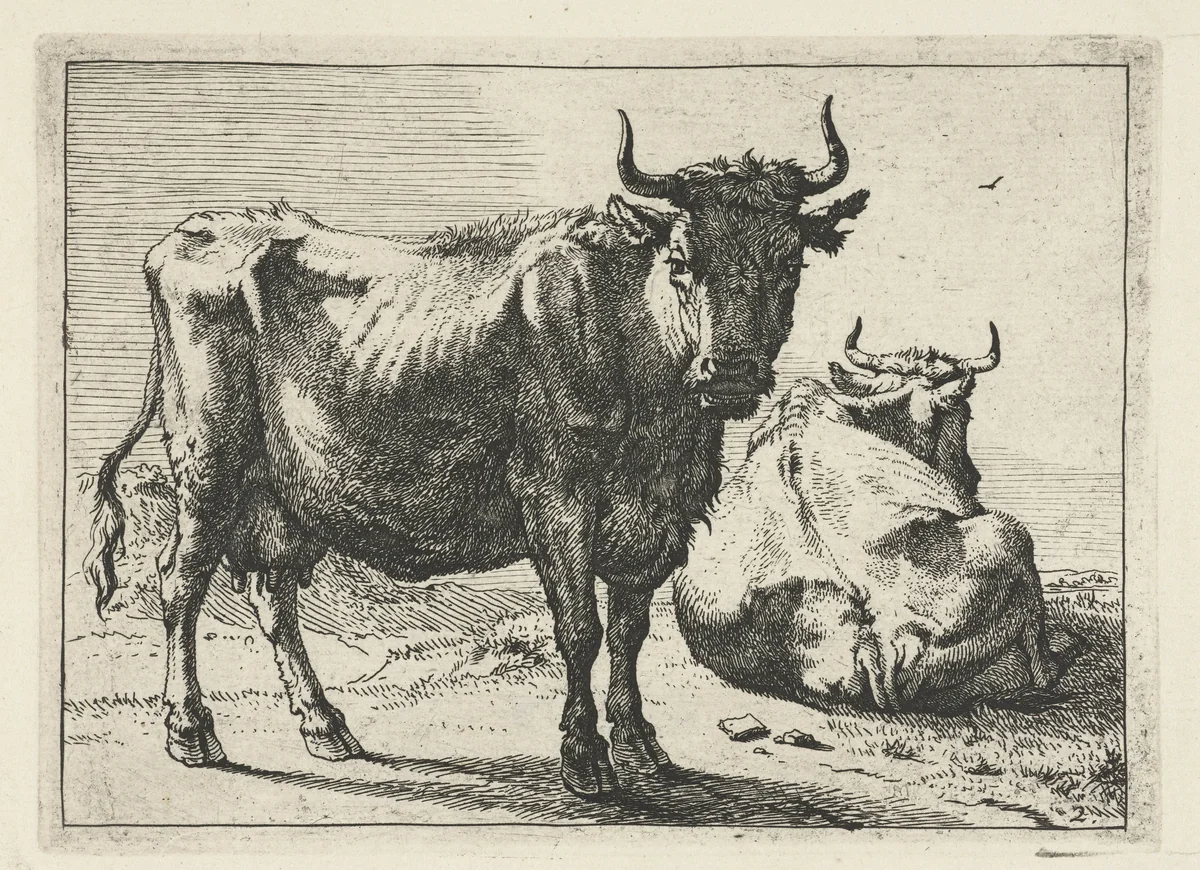 Staande en liggende koe by Paulus Potter, print, 1650