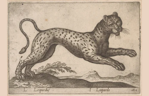 Luipaard by Antonio Tempesta, print, 1565-1630