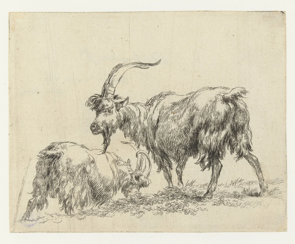 Twee geiten of bokken by Nicolaes Pietersz Berchem, print, 1648-1652