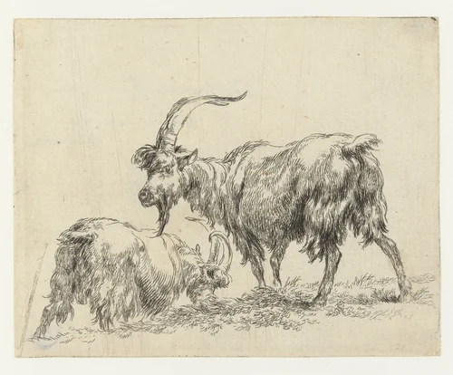 Twee geiten of bokken by Nicolaes Pietersz Berchem, print, 1648-1652