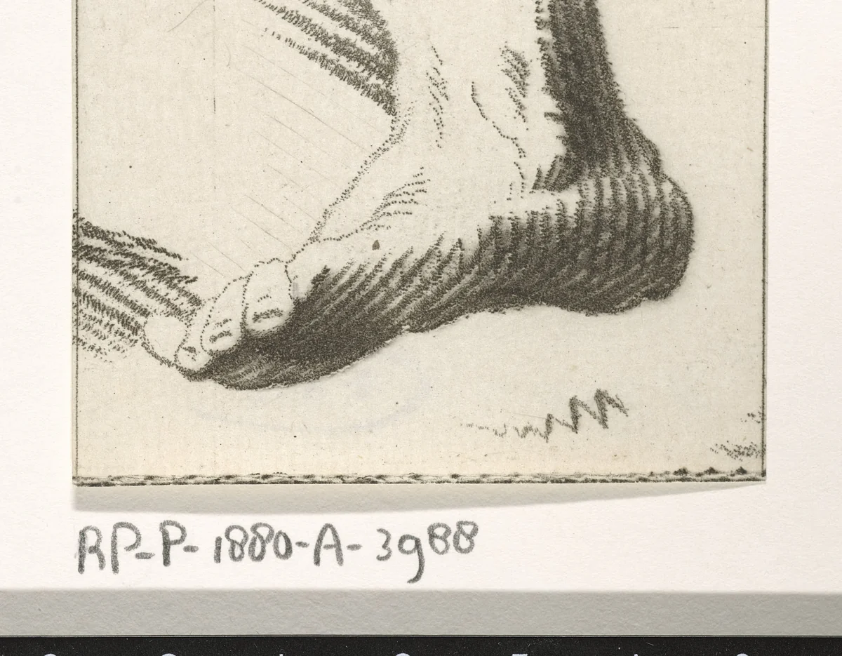 Voet by Caspar Jacobsz Philips, print, 1752-1789