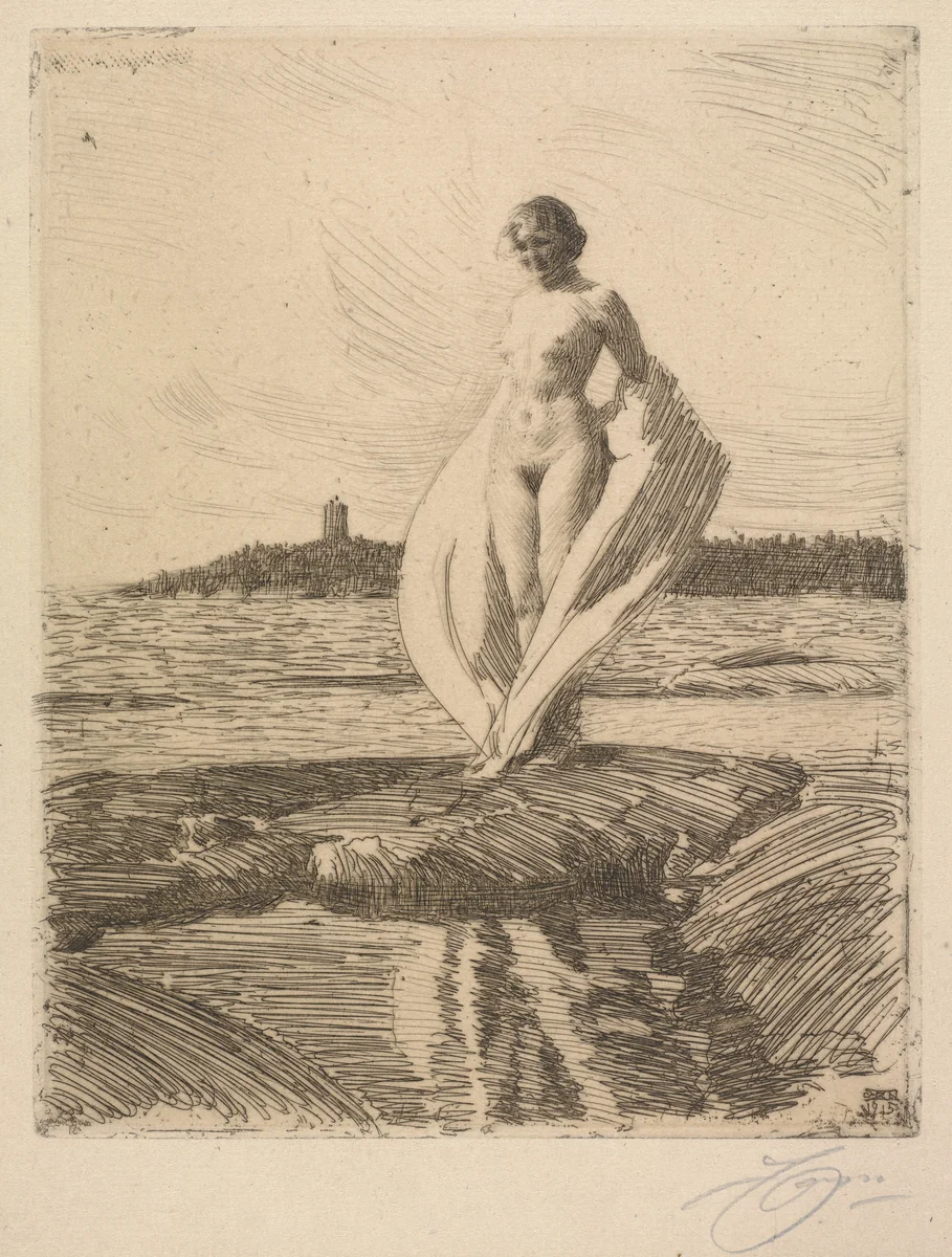 The Swan by Anders Zorn, print, 1915