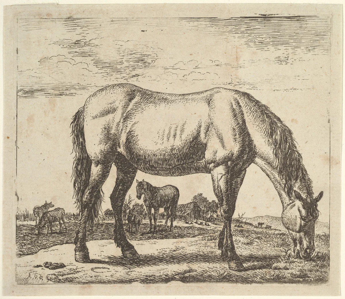 Grazing Horse, plate 7 from "Different Animals" by Adriaen van de Velde, print, 1650-1672