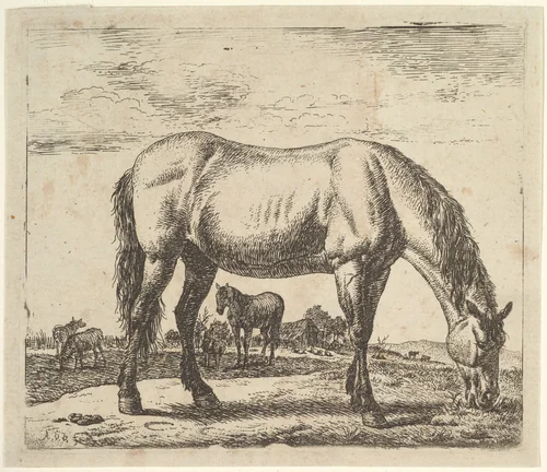 Grazing Horse, plate 7 from "Different Animals" by Adriaen van de Velde, print, 1650-1672