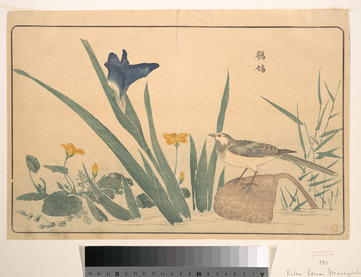 The Pied Wagtail by Kuwagata Keisai (鍬形蕙斎), print, 1789