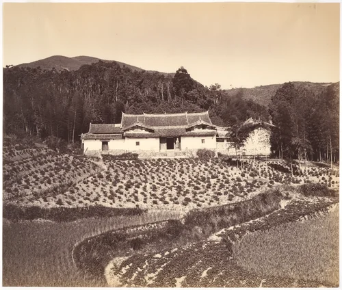 Teafield & Josshouse at Peling by Tung Hing, photograph, 1869