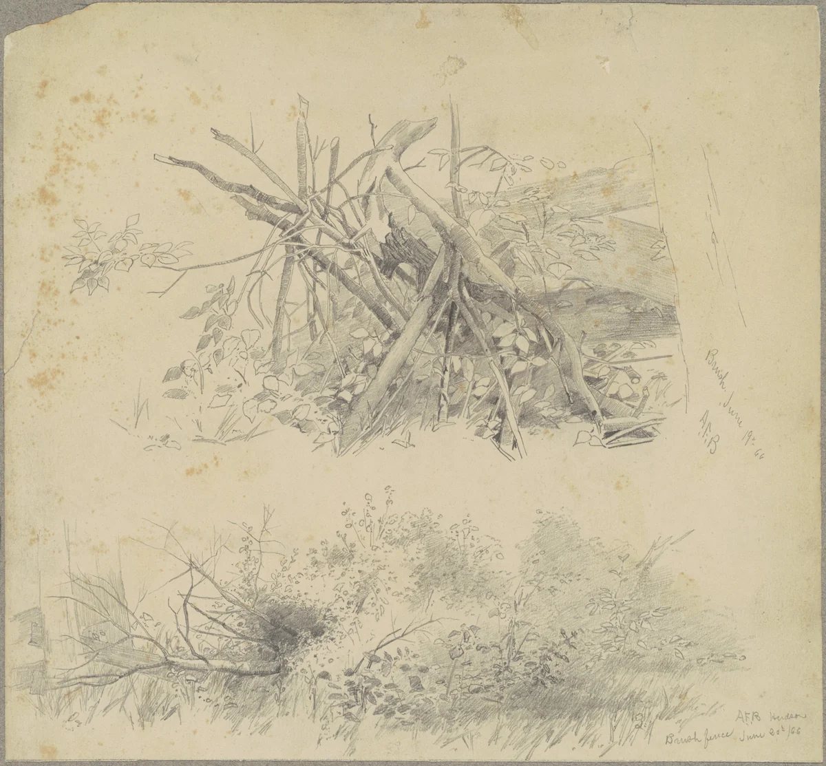 Brush; and Hudson Brush Fence by Andrew Fisher Bunner, drawing, 1866