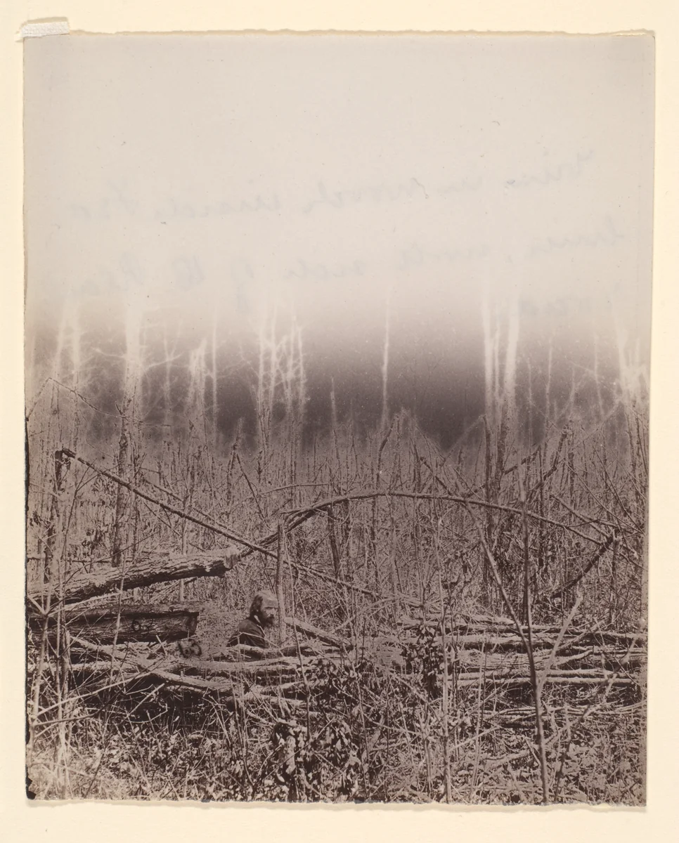 [The Wilderness Battlefield] by G. O. Brown, photograph, 1866