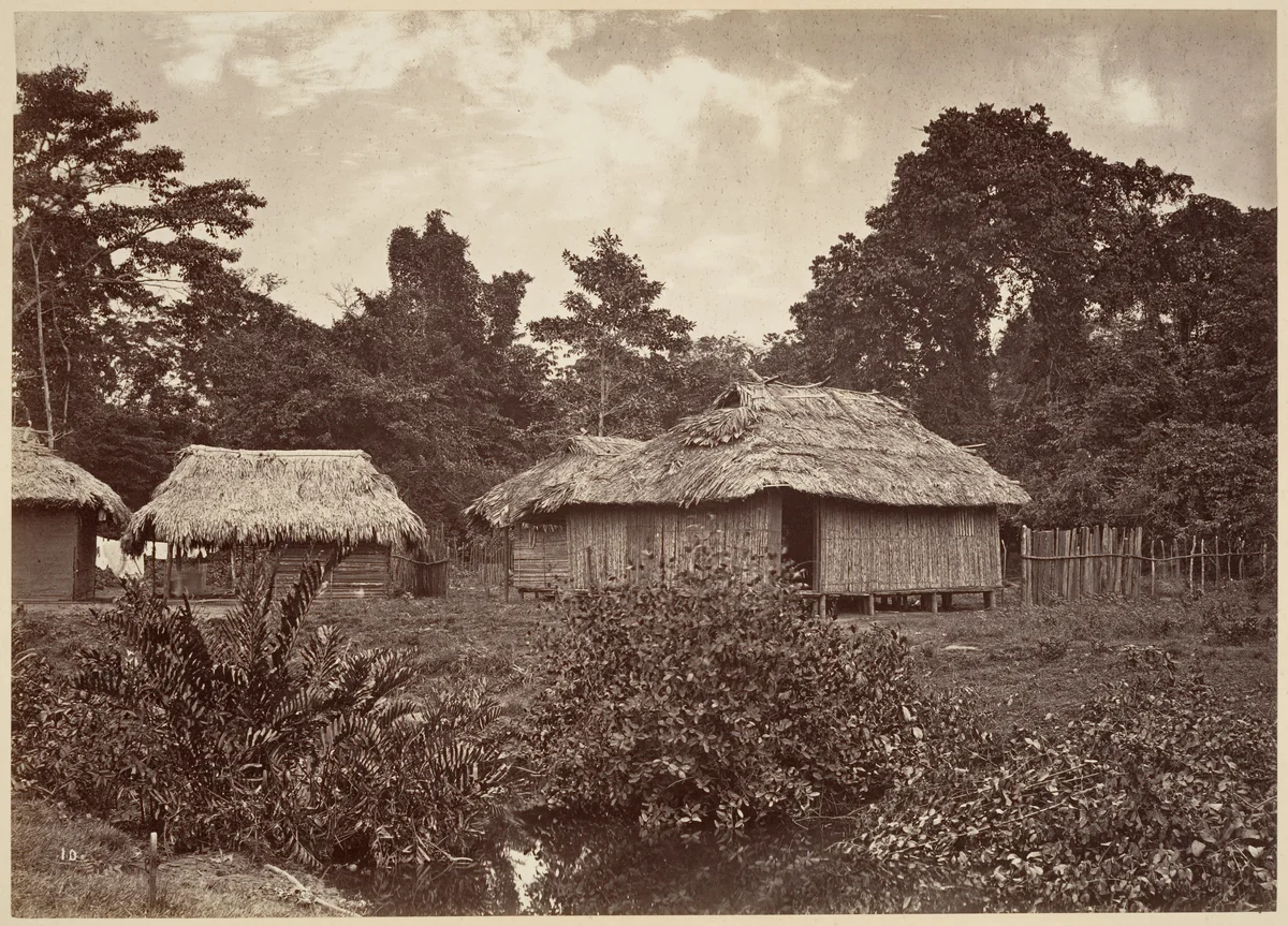 Tropical Scenery, Turbo Village by John Moran, photograph, 1871