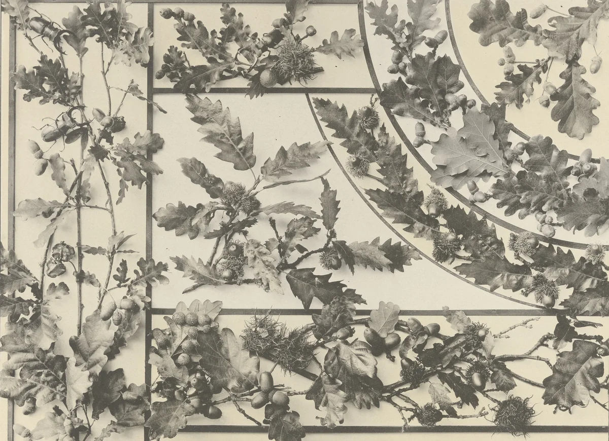 Page from Festons und Dekorative Gruppen by Unidentified Photographer, photograph, 1893