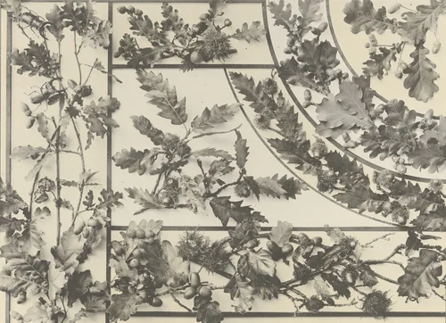 Page from Festons und Dekorative Gruppen by Unidentified Photographer, photograph, 1893