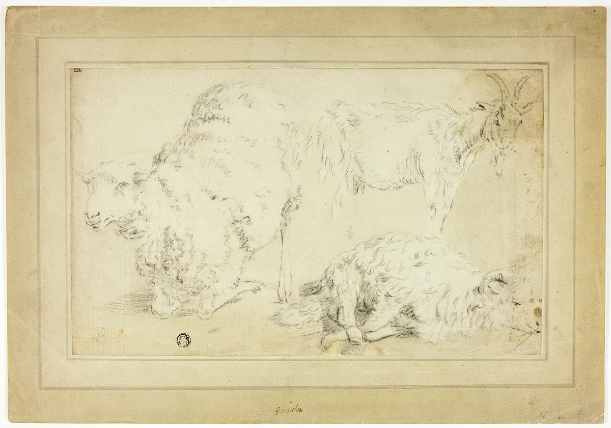 Sketches of Sheep and Goat by Thomas Gainsborough, drawing, 1700-1799