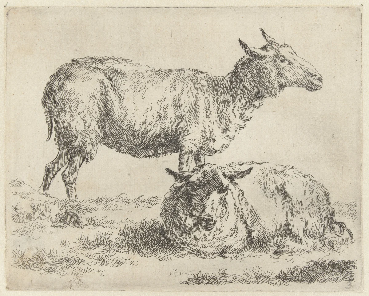Staand en liggend schaap by Nicolaes Pietersz Berchem, print, 1648-1652