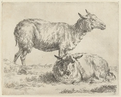 Staand en liggend schaap by Nicolaes Pietersz Berchem, print, 1648-1652