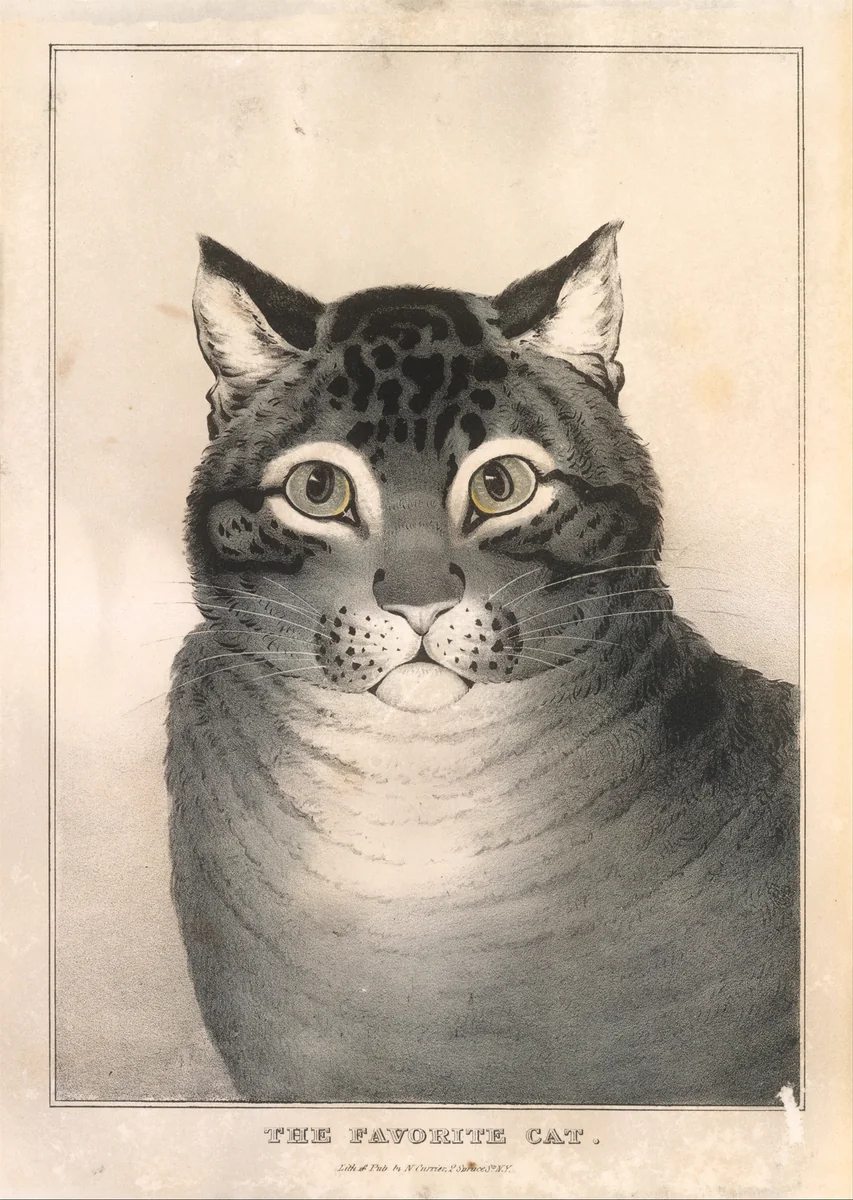 The Favorite Cat by Nathaniel Currier, print, 1838-1848