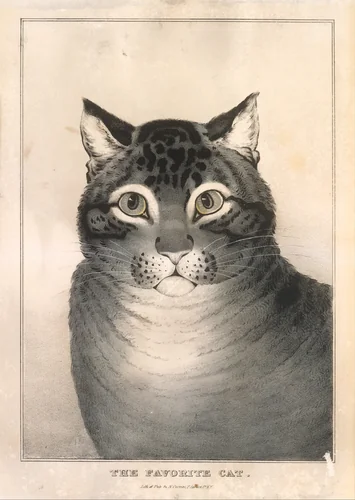 The Favorite Cat by Nathaniel Currier, print, 1838-1848