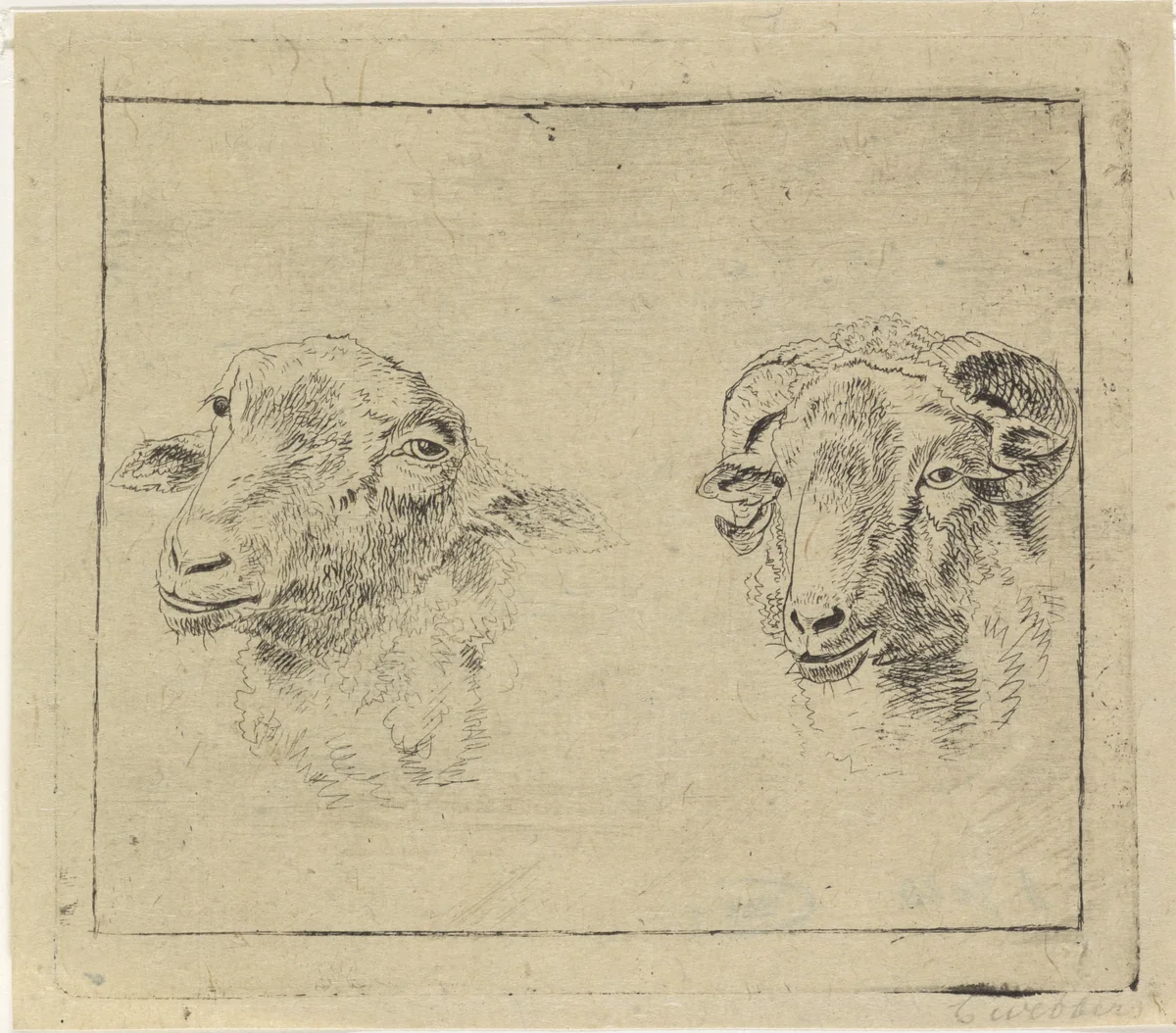 Kop van een ram en kop van een schaap by Carel Webbers, print, 1786