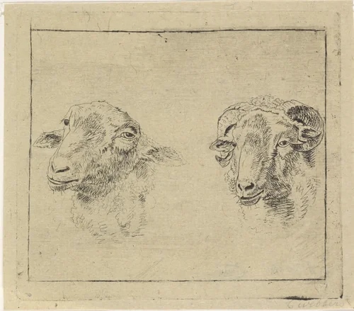 Kop van een ram en kop van een schaap by Carel Webbers, print, 1786