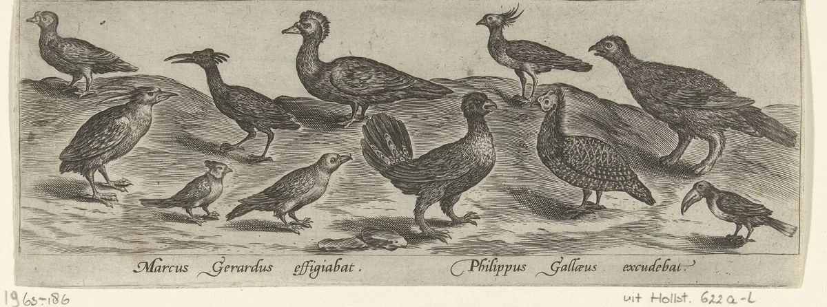 Elf vogels by Unknown, print, 1547-1590