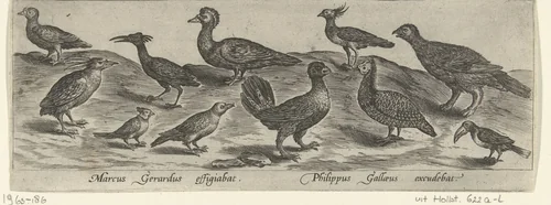 Elf vogels by Unknown, print, 1547-1590