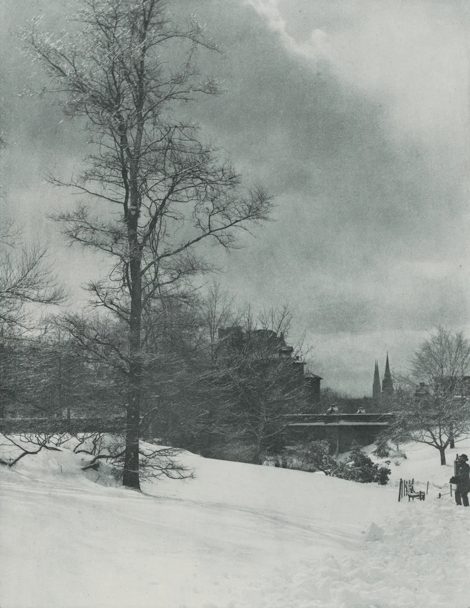 A Winter Sky—Central Park by Alfred Stieglitz, photograph, 1894